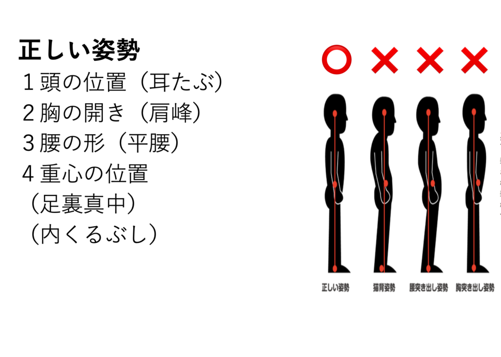 寺本メソッドとは｜食べながら痩せて若返るダイエット理論
